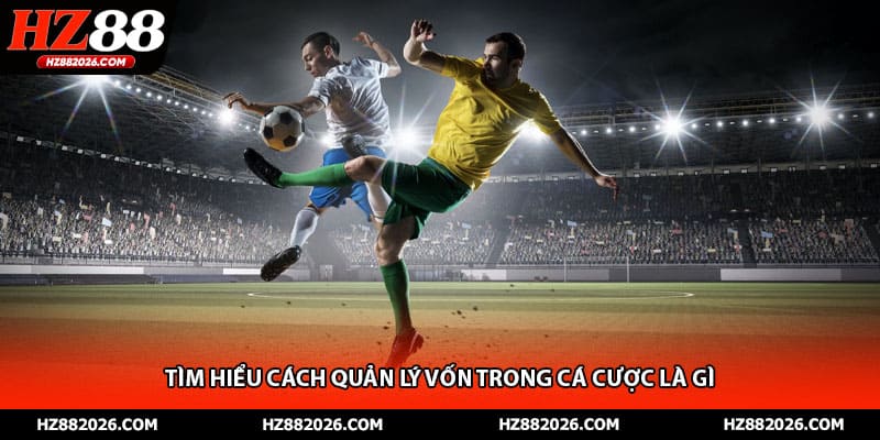 Tìm hiểu cách quản lý vốn trong cá cược là gì